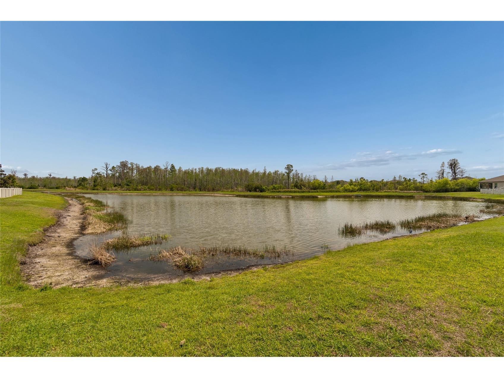 8960 Shadyside Lane Land O Lakes FL 34637 TB8487011 image36