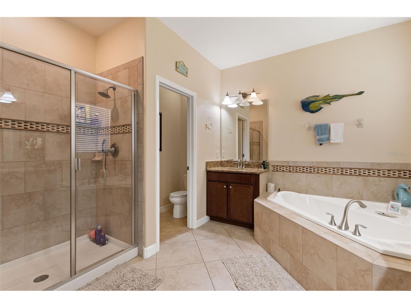 8961 Dove Valley Way Davenport FL 33896 S5148633 image17