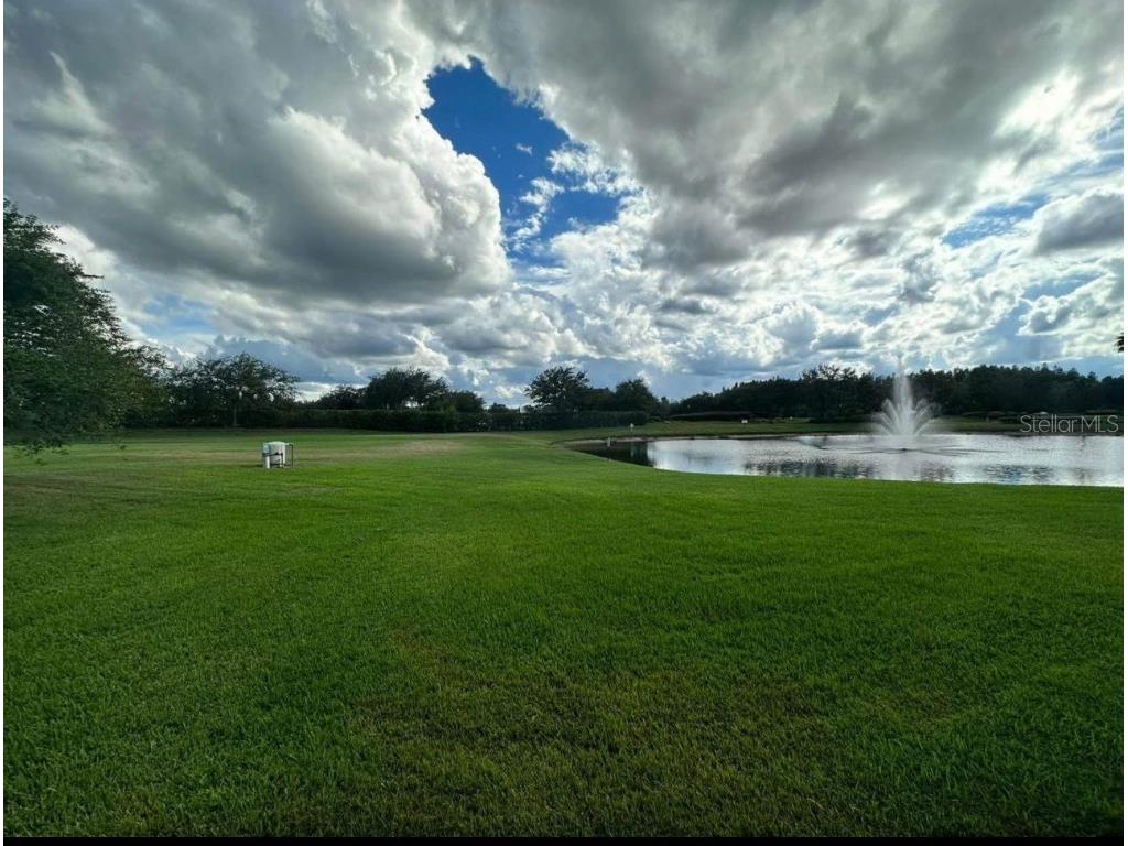 8961 Iron Oak Avenue Tampa FL 33647 S5141099 image18