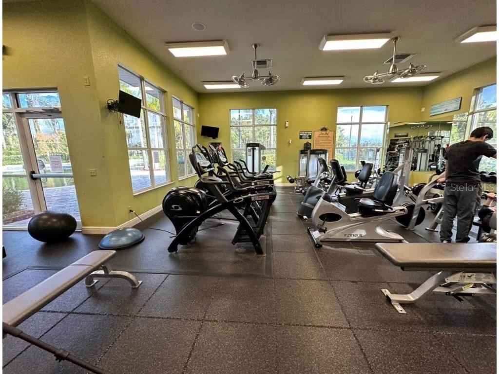 8961 Iron Oak Avenue Tampa FL 33647 S5141099 image19