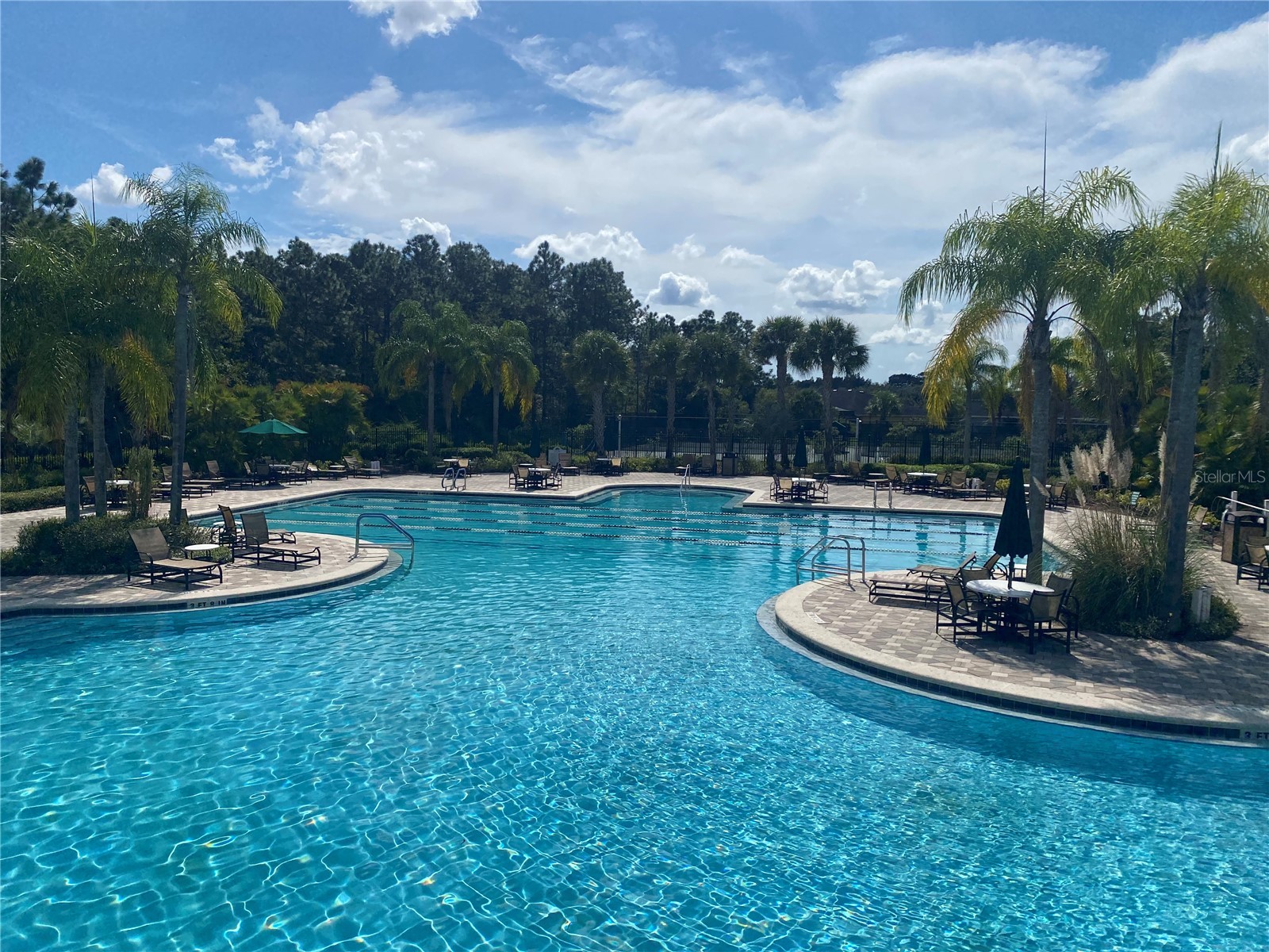 8961 Iron Oak Avenue Tampa FL 33647 TB8524017 image3