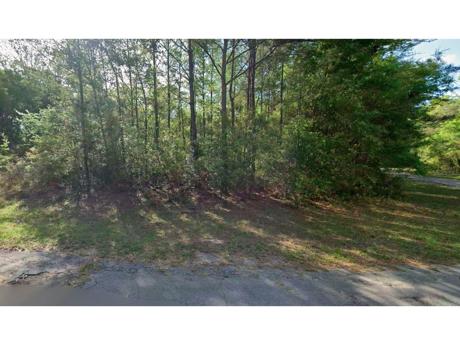 8961 N Conch Terrace Dunnellon FL 34434 O6423337 image1