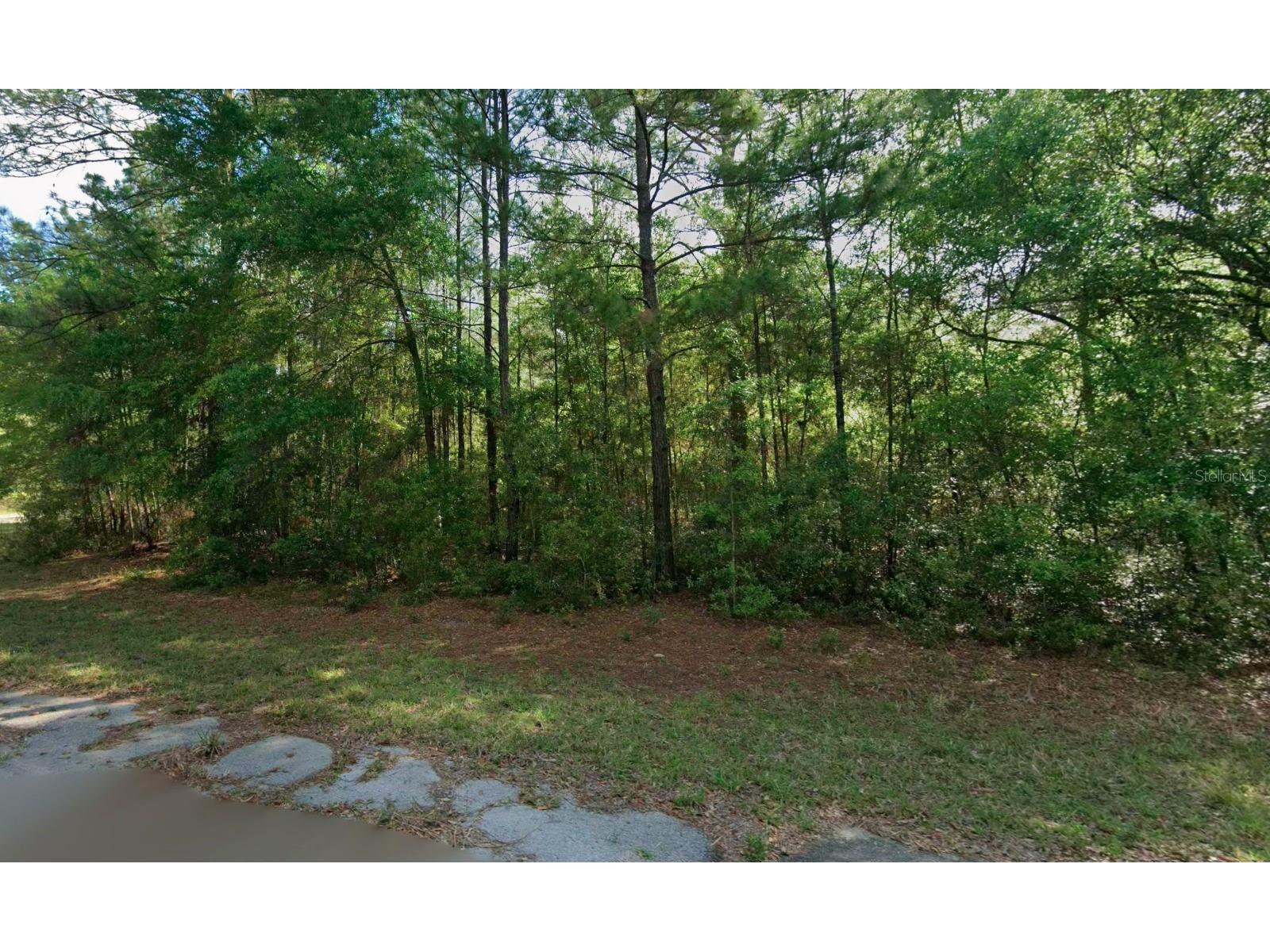 8961 N Conch Terrace Dunnellon FL 34434 O6423337 image2