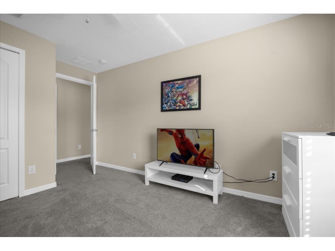 8962 Cuban Palm Road Kissimmee FL 34747 O6256367 image22