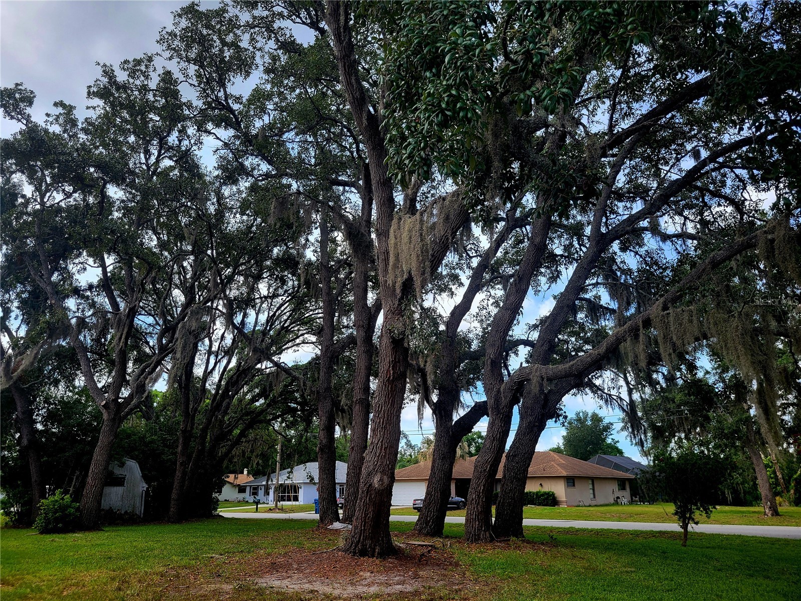 8962 Jena Road Spring Hill FL 34608 TB8520538 image38
