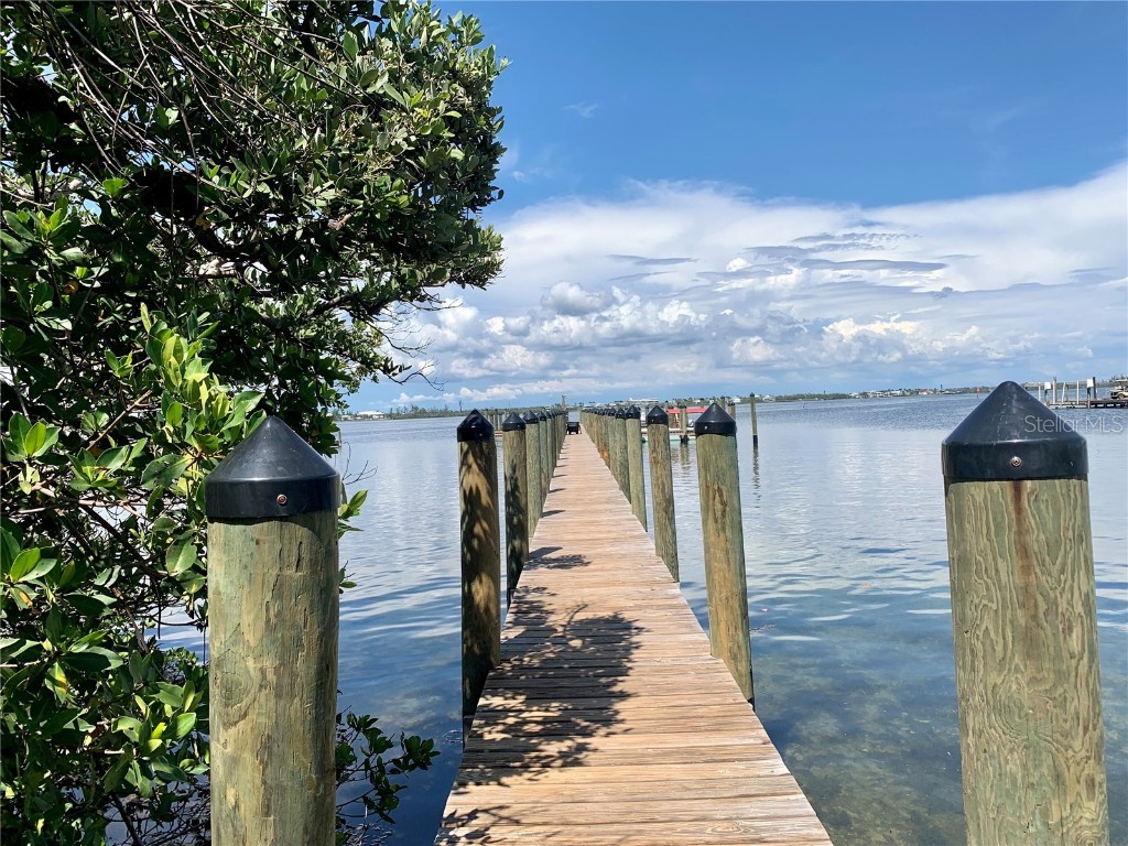 8964 Seagrape Lane Placida FL 33946 - GULF OF MEXICO INTERCOASTAL WATERWAY TB8400815 image10