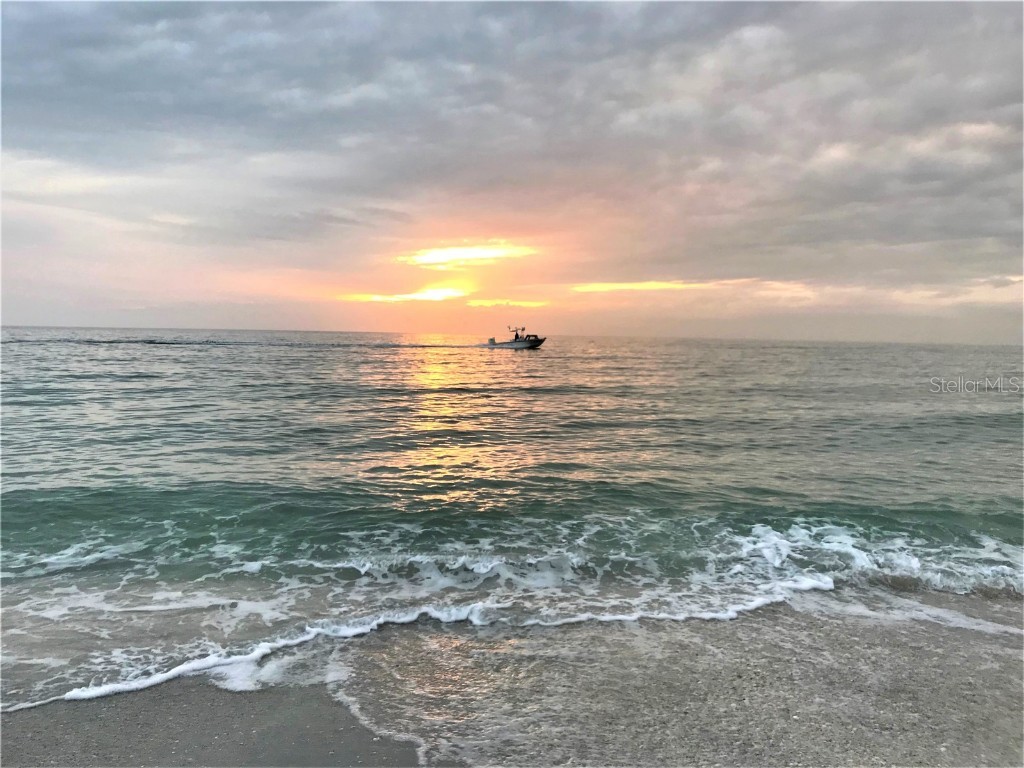 8964 Seagrape Lane Placida FL 33946 - GULF OF MEXICO INTERCOASTAL WATERWAY TB8400815 image19