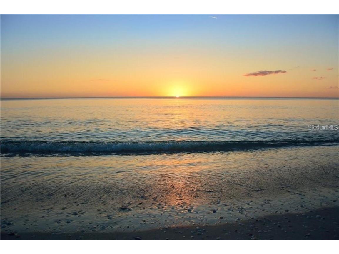 8964 Seagrape Lane Placida FL 33946 - GULF OF MEXICO INTERCOASTAL WATERWAY TB8400815 image20