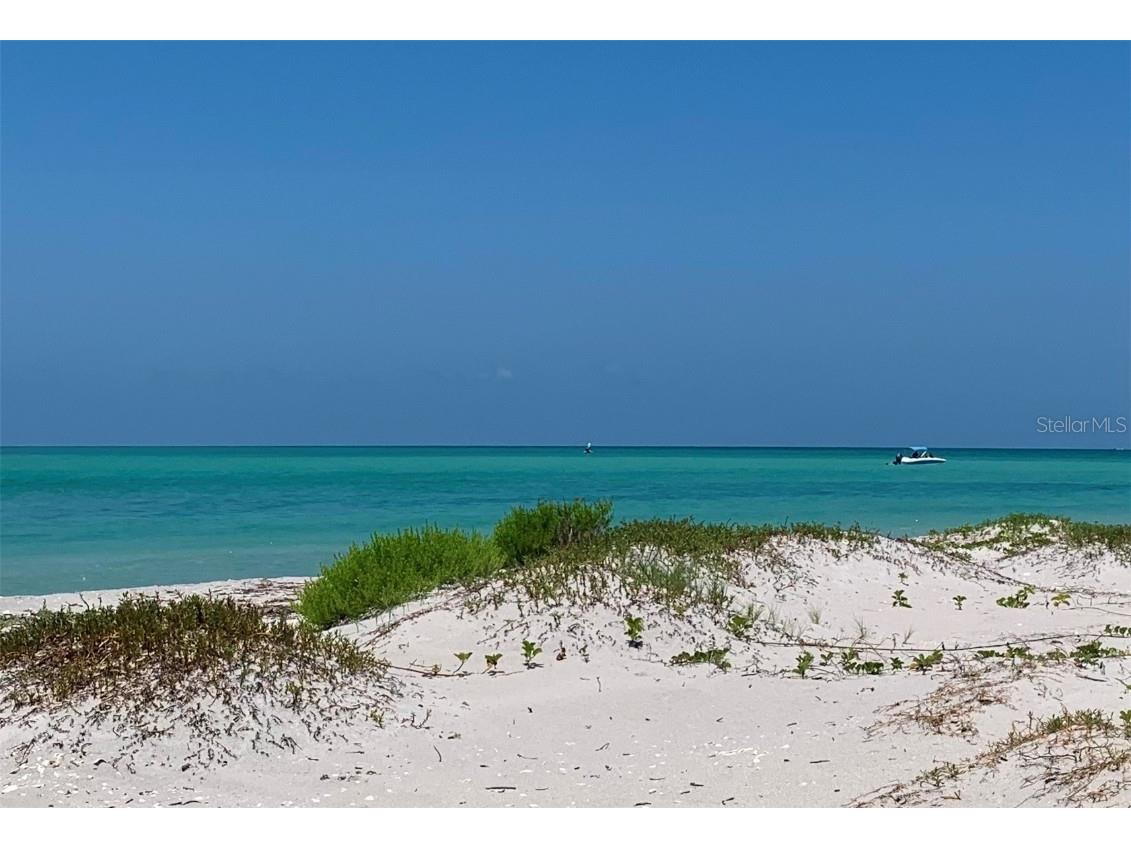 8964 Seagrape Lane Placida FL 33946 - GULF OF MEXICO INTERCOASTAL WATERWAY TB8400815 image6