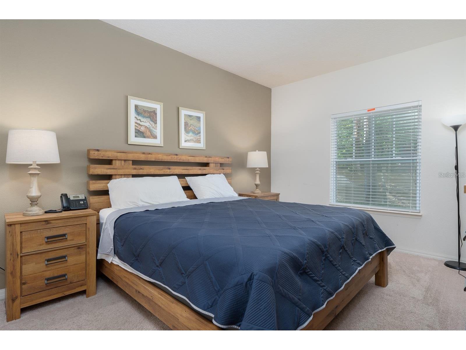 8964 Silver Place Kissimmee FL 34747 S5144357 image14