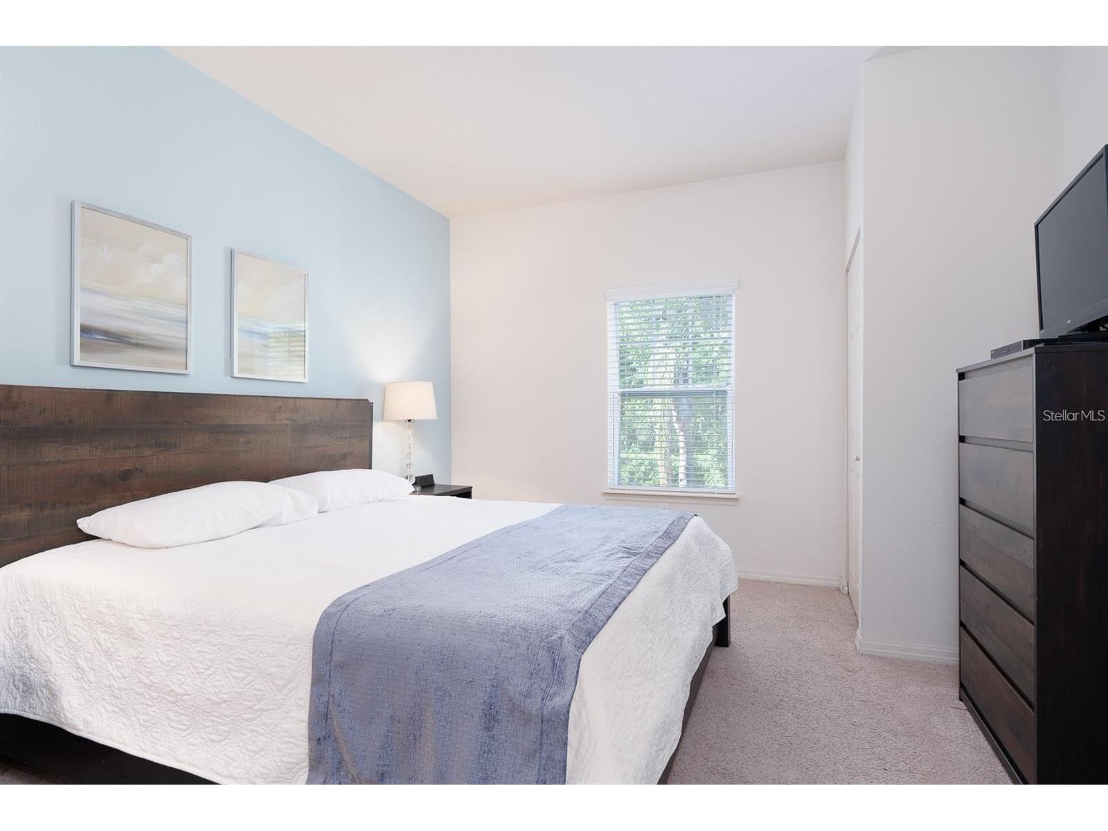 8964 Silver Place Kissimmee FL 34747 S5144357 image21