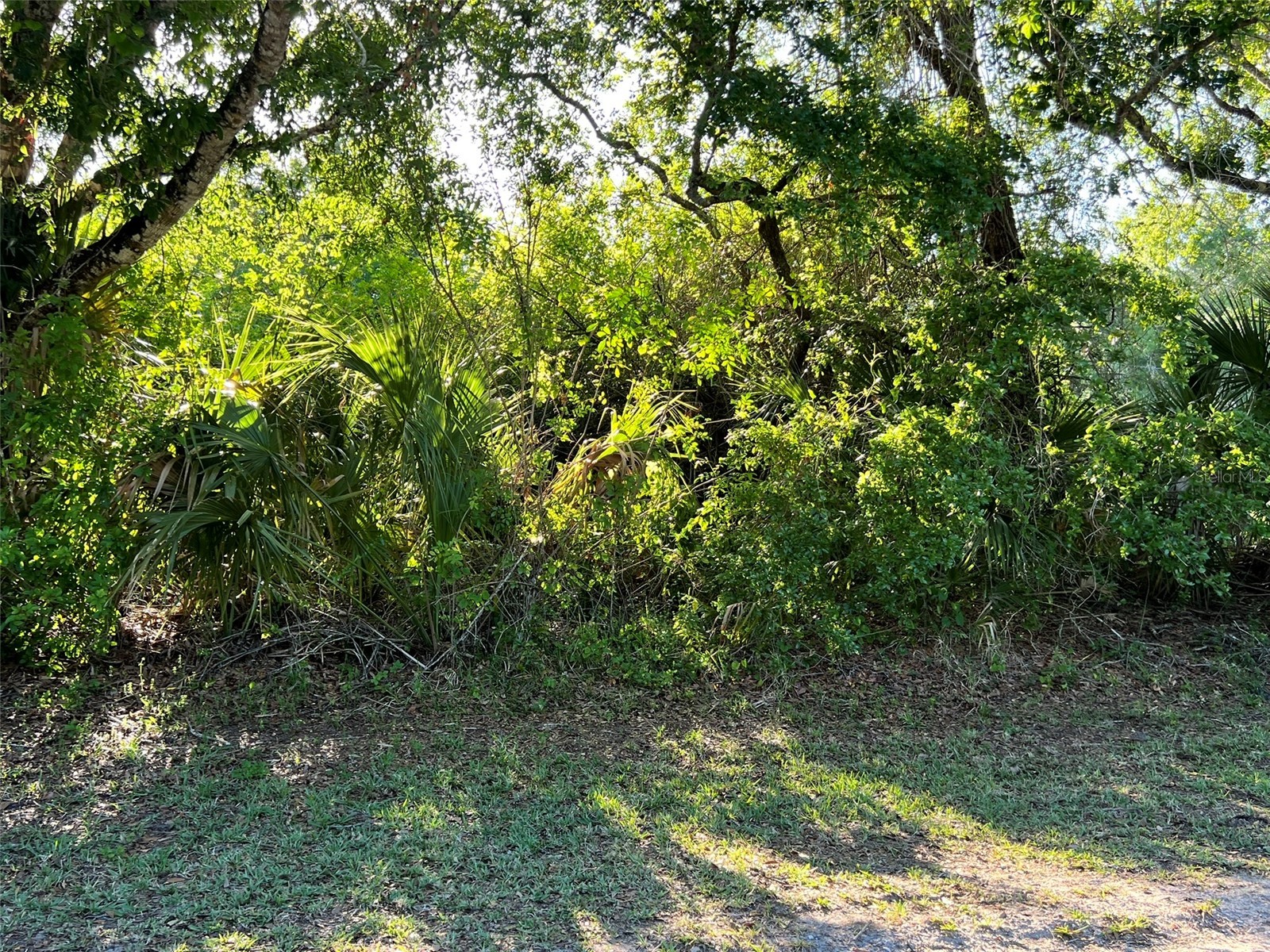 8965 100th Avenue Vero Beach FL 32967 S5148113 image11