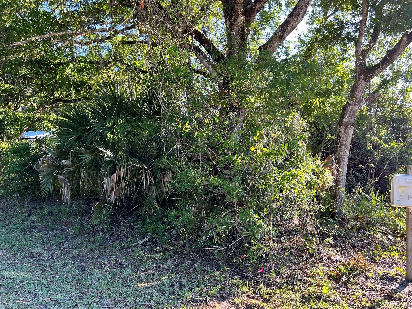 8965 100th Avenue Vero Beach FL 32967 S5148113 image5