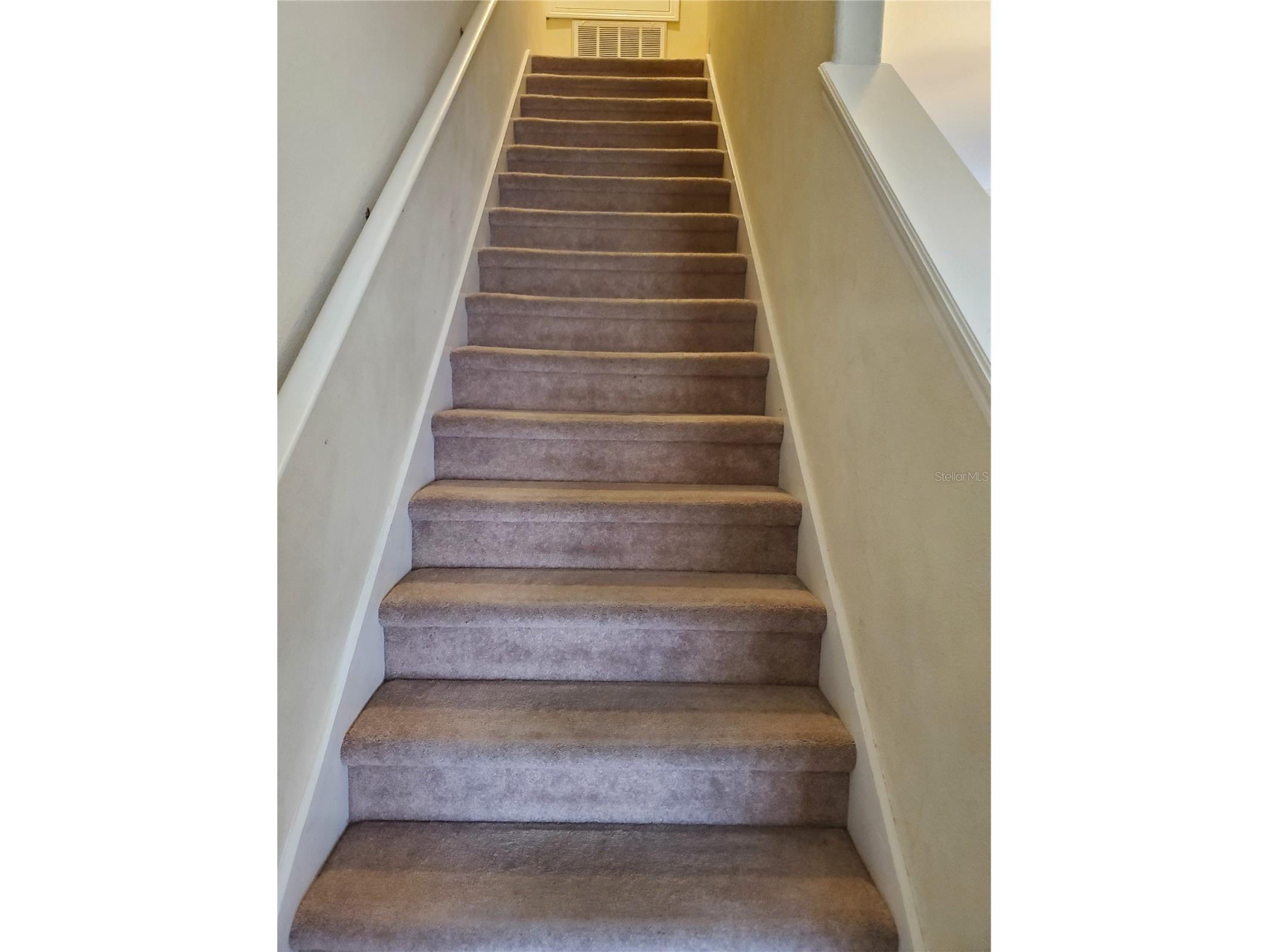 8965 Cat Palm Road Kissimmee FL 34747 S5146692 image13