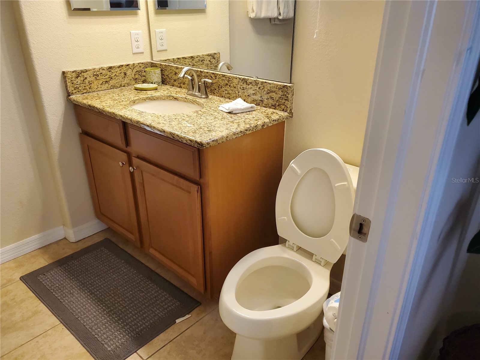 8965 Cat Palm Road Kissimmee FL 34747 S5146692 image19