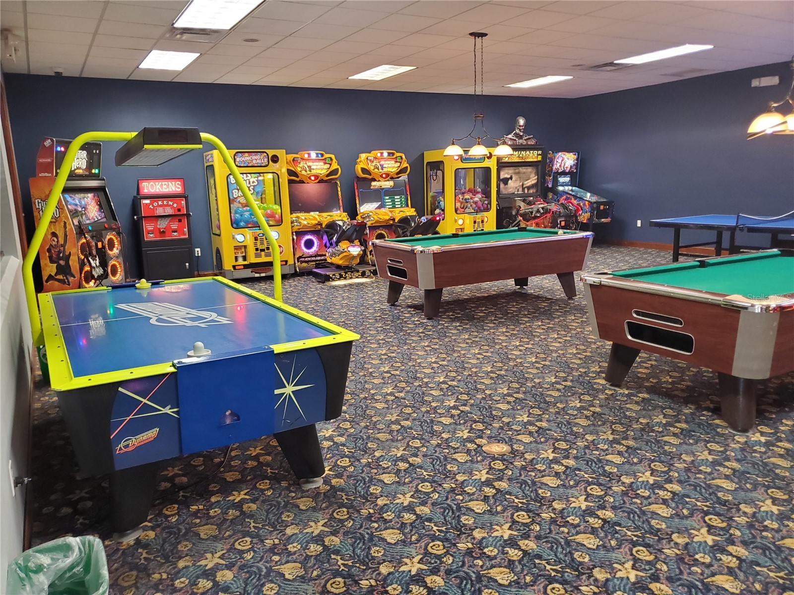8965 Cat Palm Road Kissimmee FL 34747 S5146692 image23