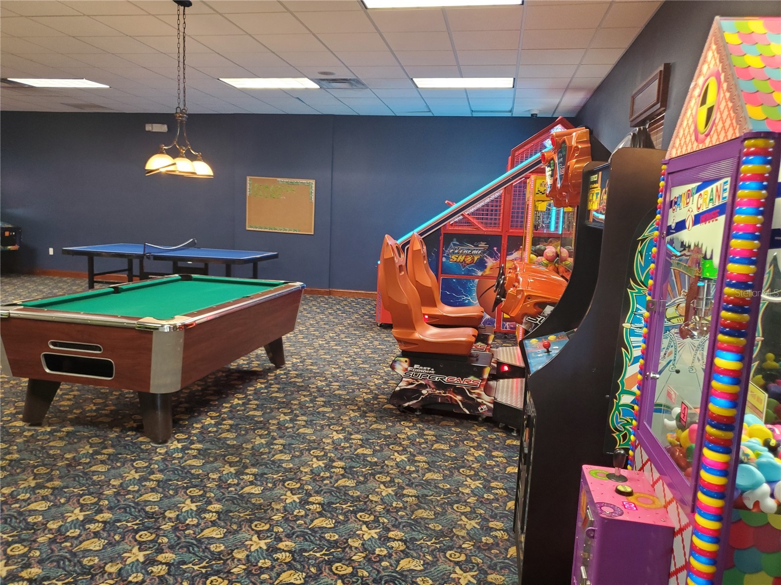 8965 Cat Palm Road Kissimmee FL 34747 S5146692 image24