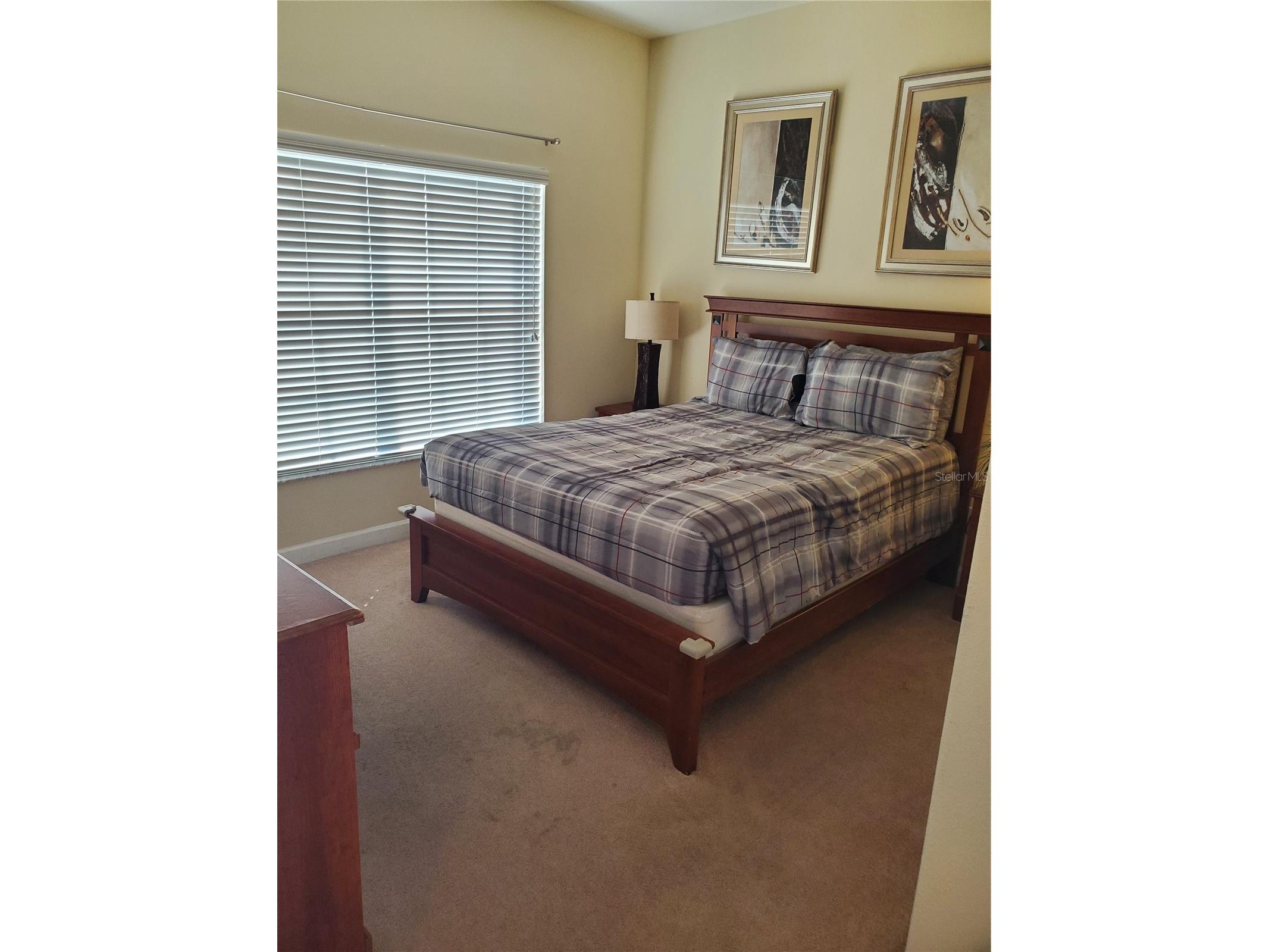 8965 Cat Palm Road Kissimmee FL 34747 S5146692 image3