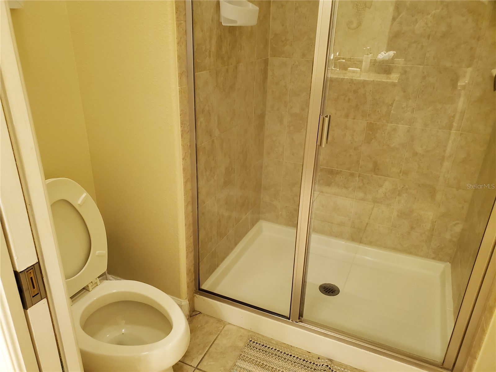 8965 Cat Palm Road Kissimmee FL 34747 S5146692 image6