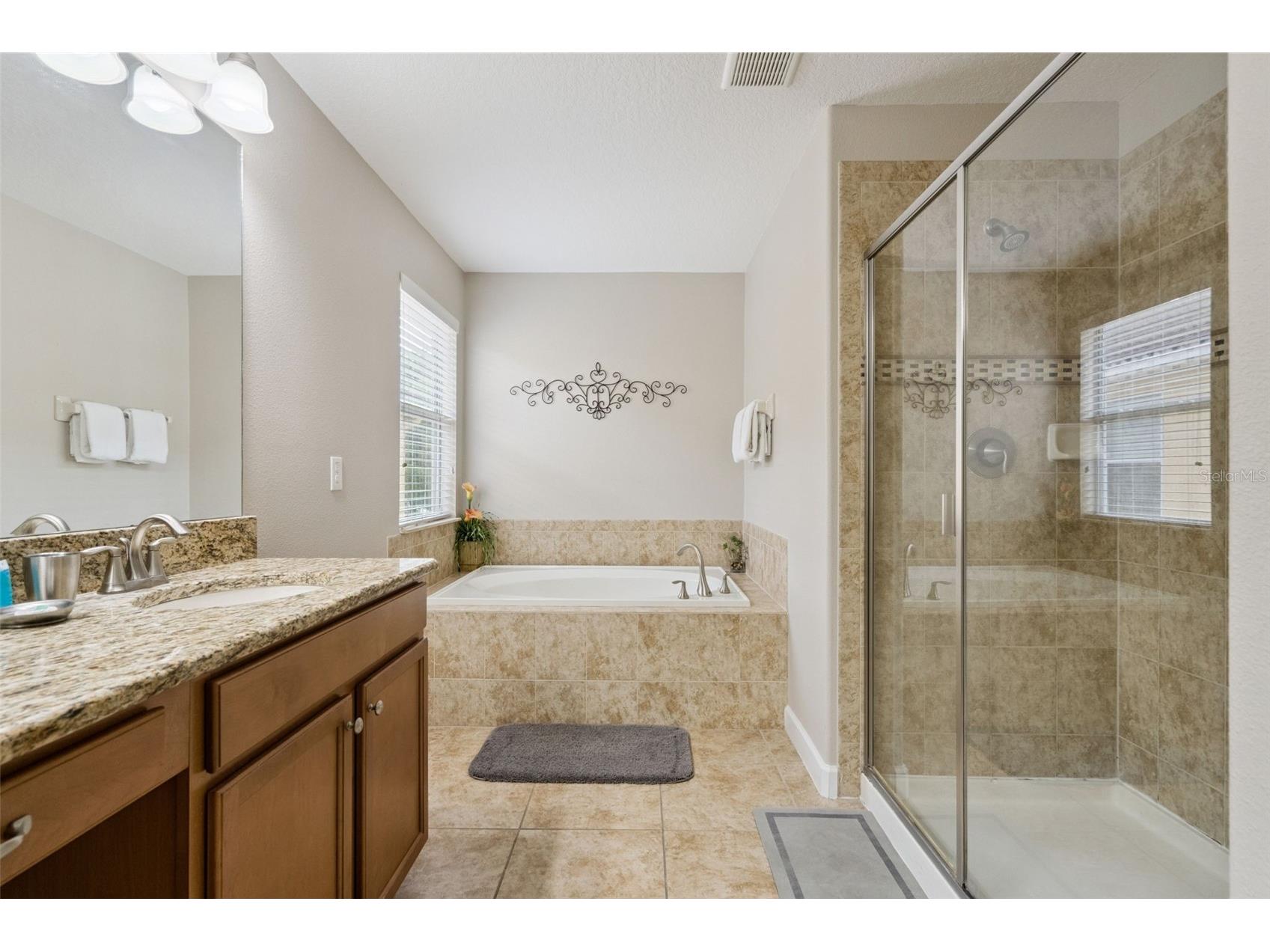 8965 Cuban Palm Road Kissimmee FL 34747 S5147422 image24