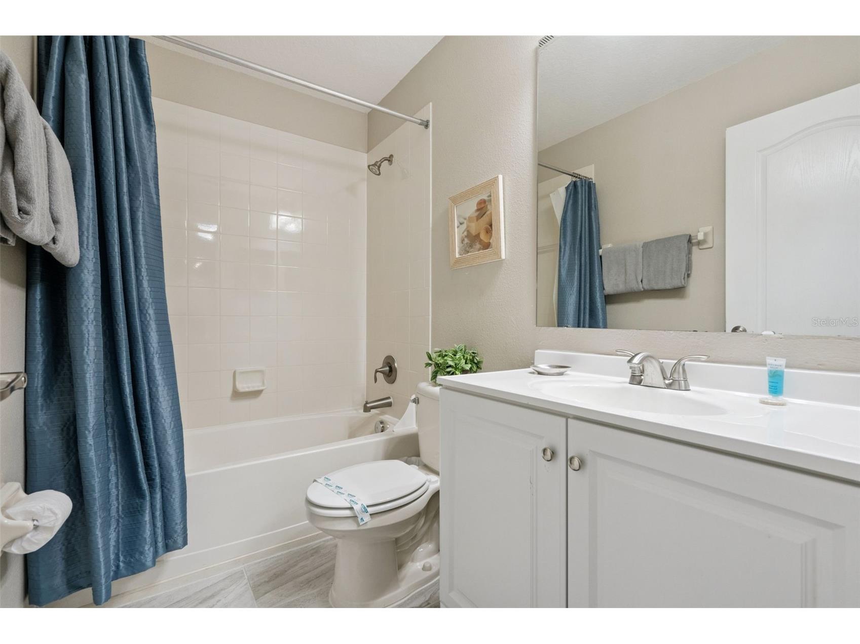 8965 Cuban Palm Road Kissimmee FL 34747 S5147422 image25