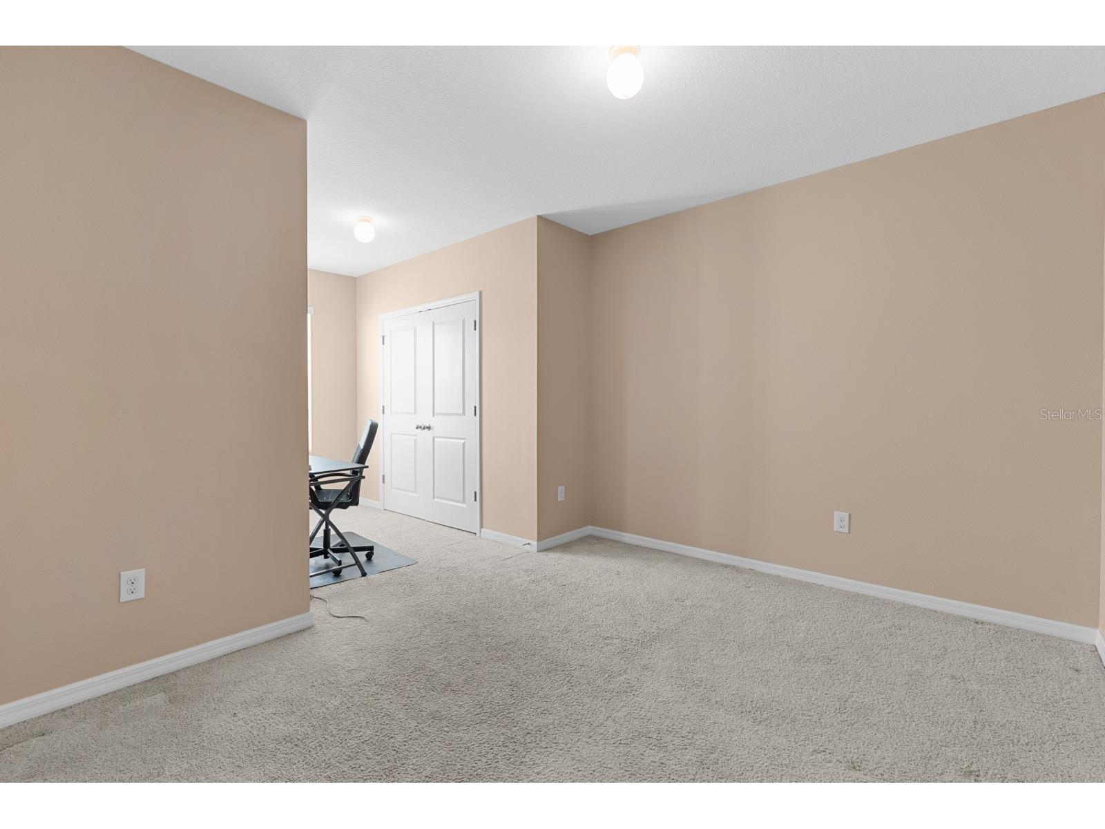 8965 Indigo Trail Loop Riverview FL 33578 TB8501453 image27