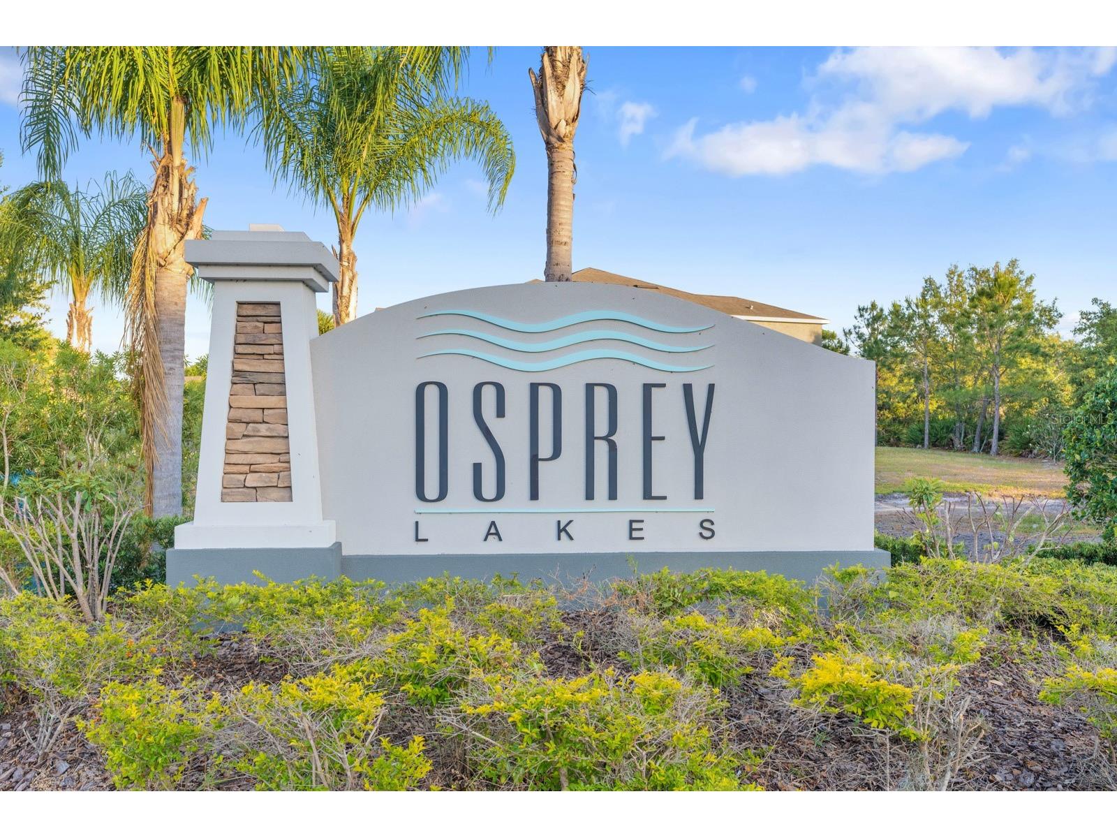 8965 Indigo Trail Loop Riverview FL 33578 TB8501453 image36