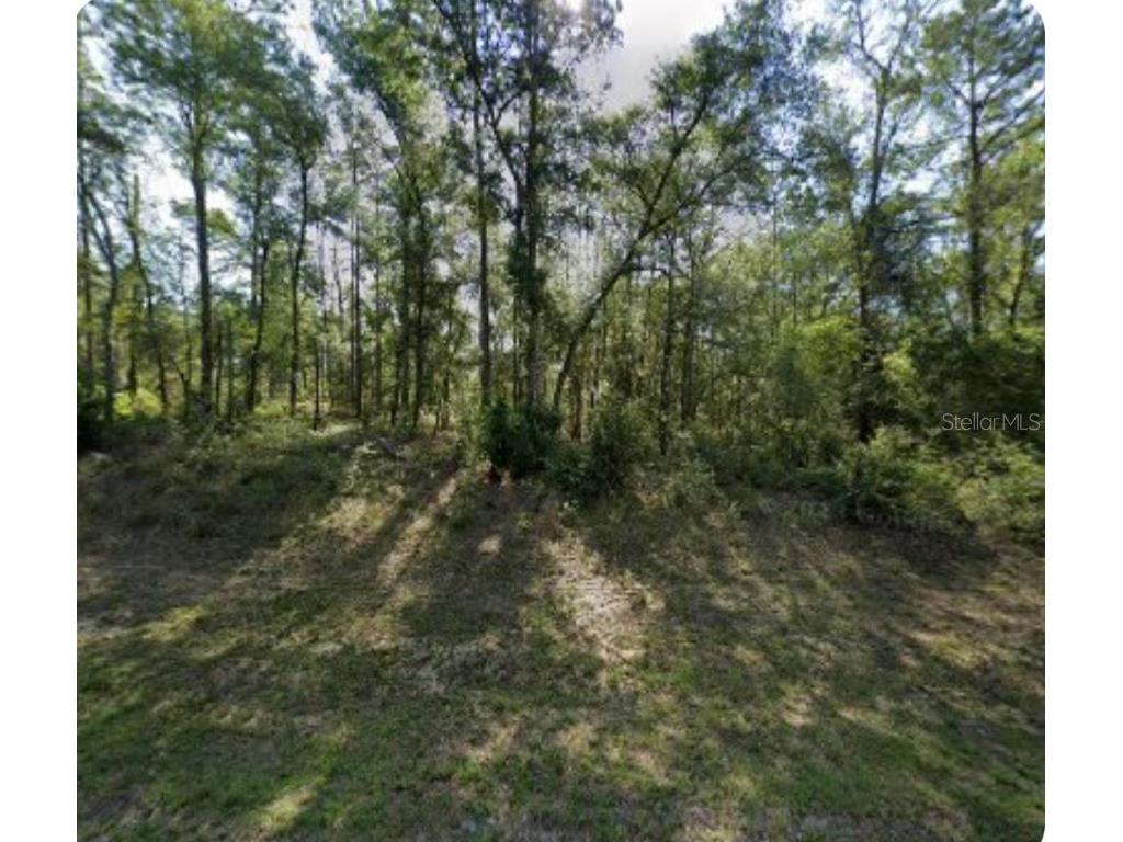 8965 N Lily Drive Dunnellon FL 34434 W7876930 image1