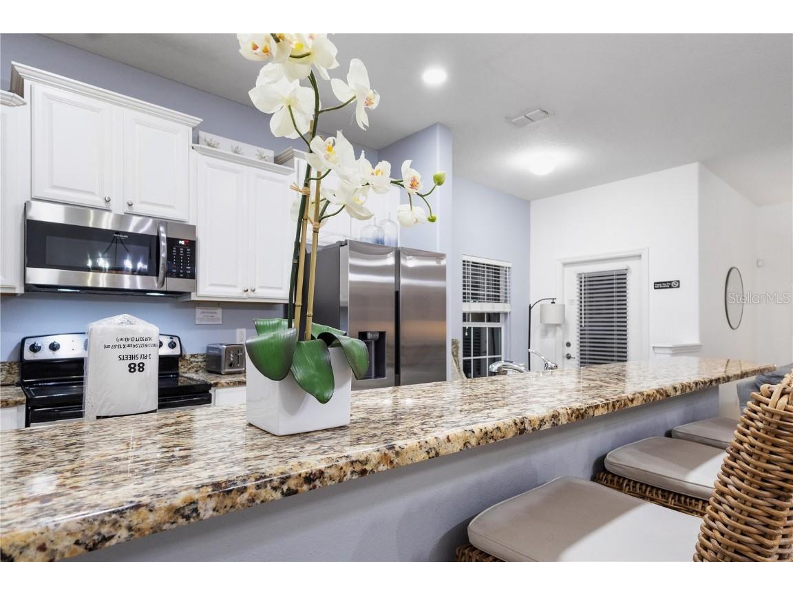 8966 Cat Palm Road Kissimmee FL 34747 S5135487 image3