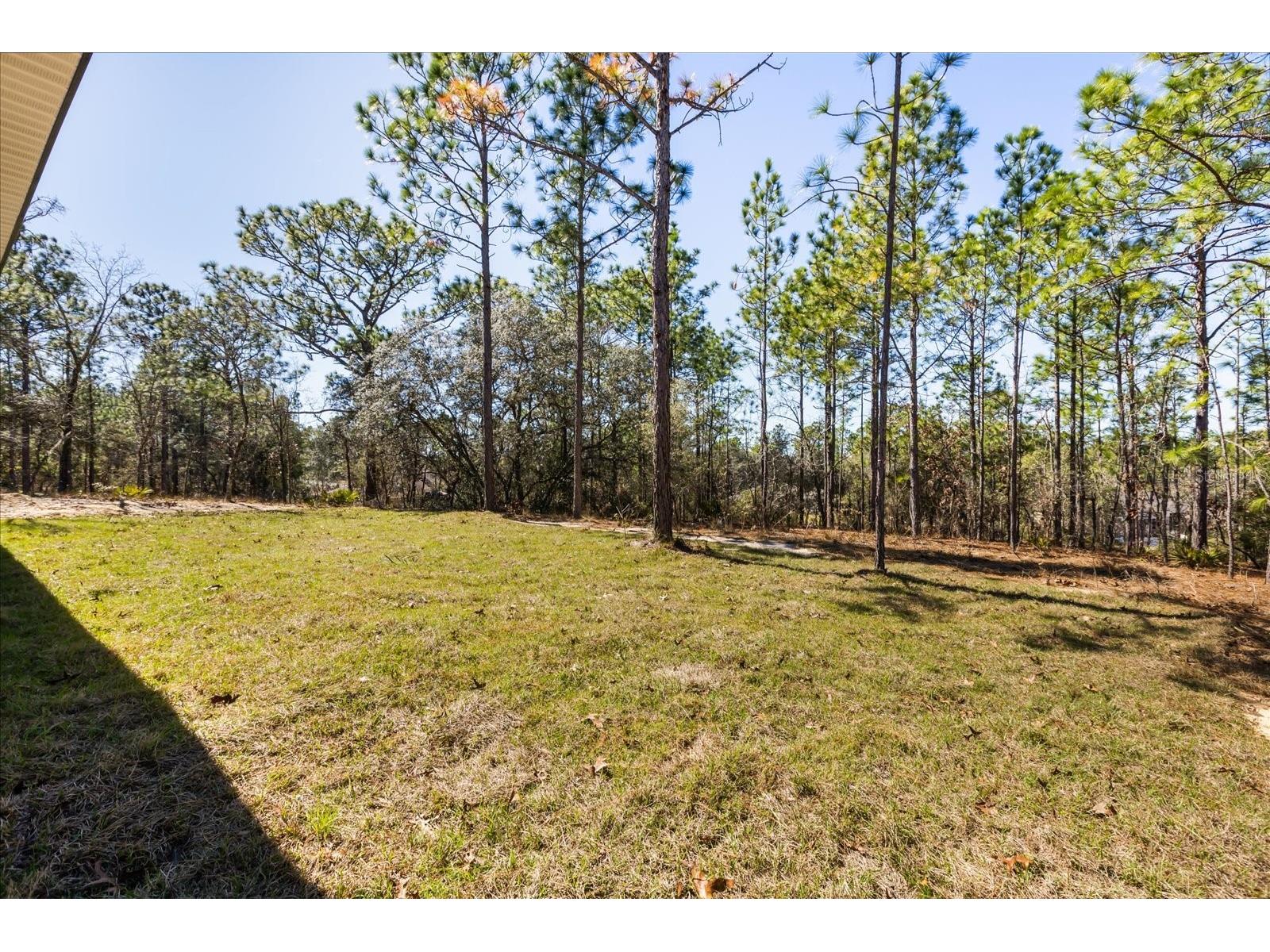 8968 N Citrus Springs Boulevard Citrus Springs FL 34433 O6387119 image31