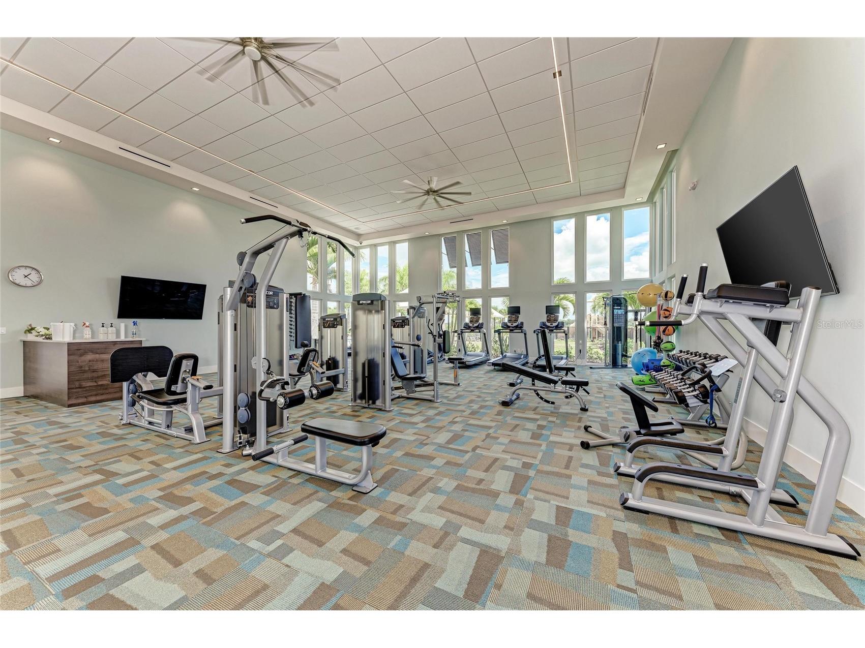 8969 Bernini Place Sarasota FL 34240 A4688095 image40