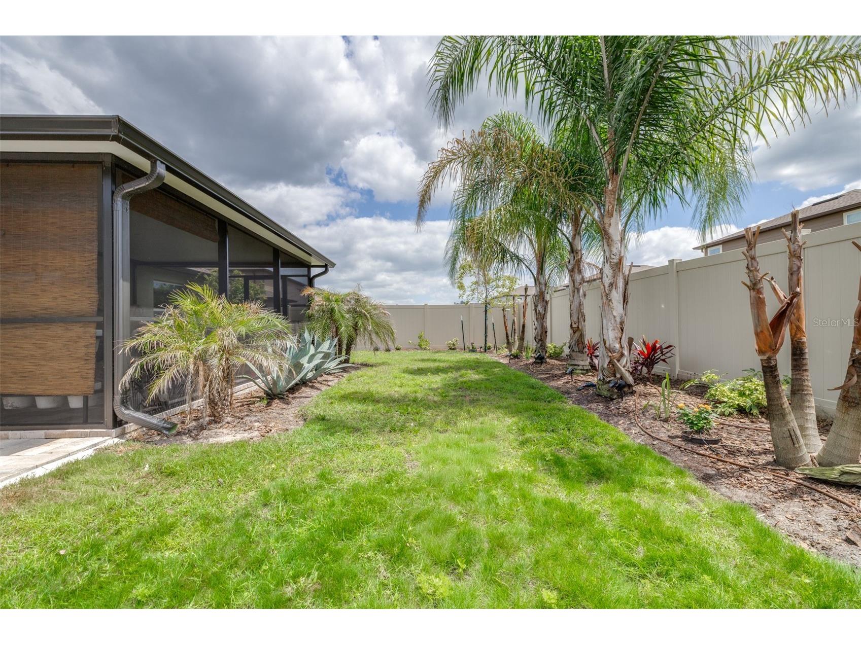 8969 Little Bluestem Drive Land O Lakes FL 34637 TB8498026 image48