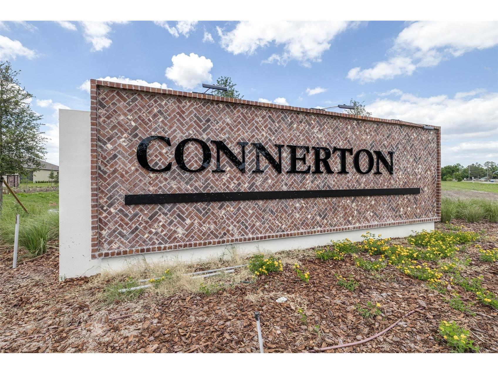8969 Little Bluestem Drive Land O Lakes FL 34637 TB8498026 image54