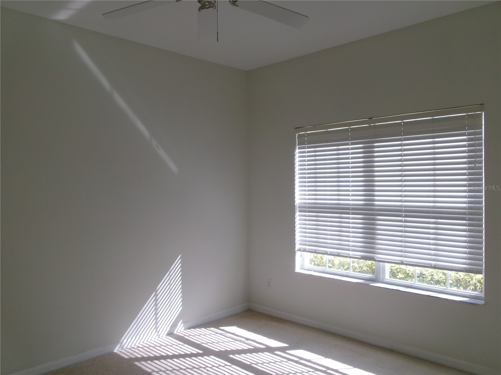 8969 Majesty Palm Road Kissimmee FL 34747 O6356562 image15