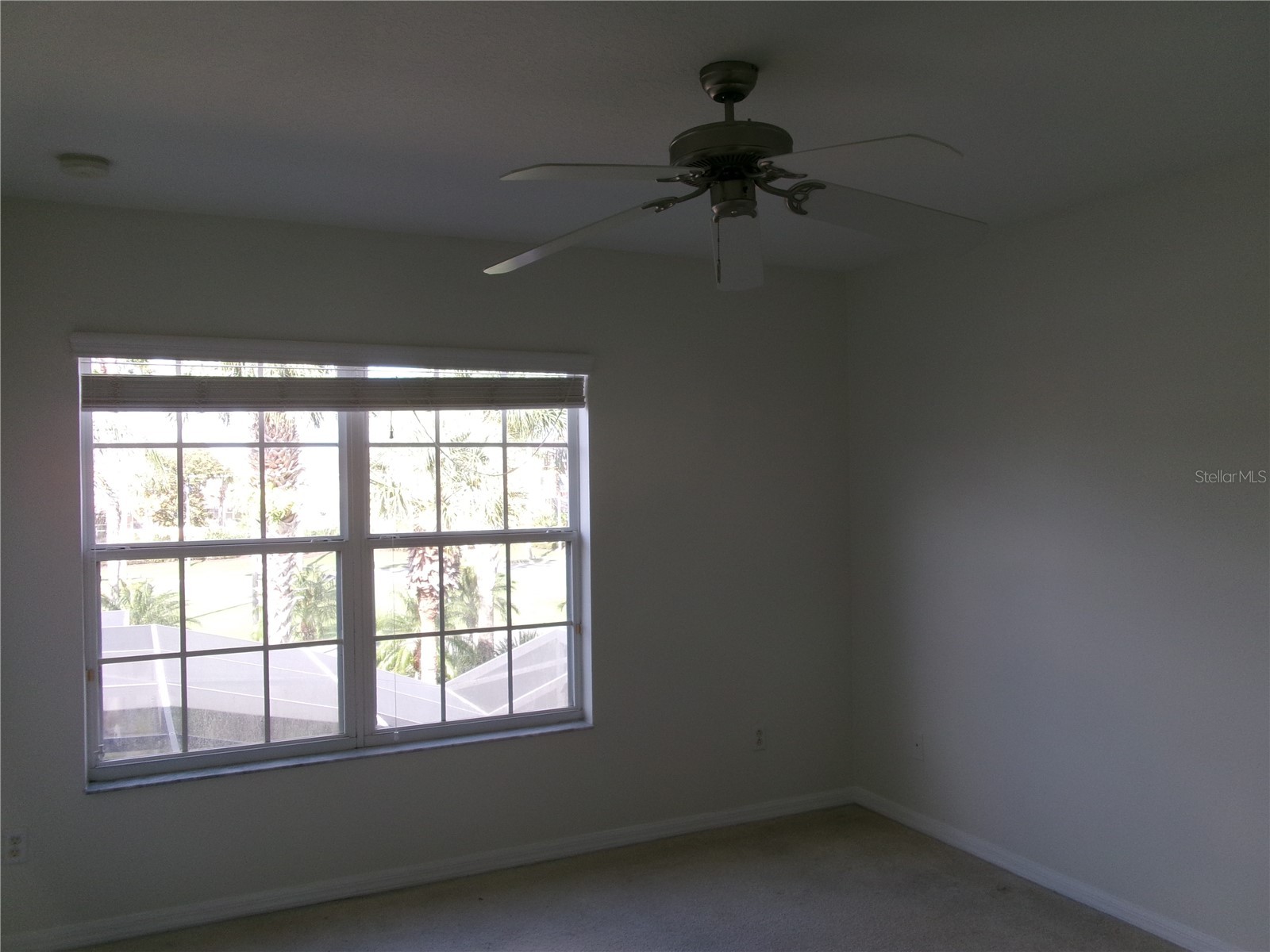 8969 Majesty Palm Road Kissimmee FL 34747 O6356562 image23