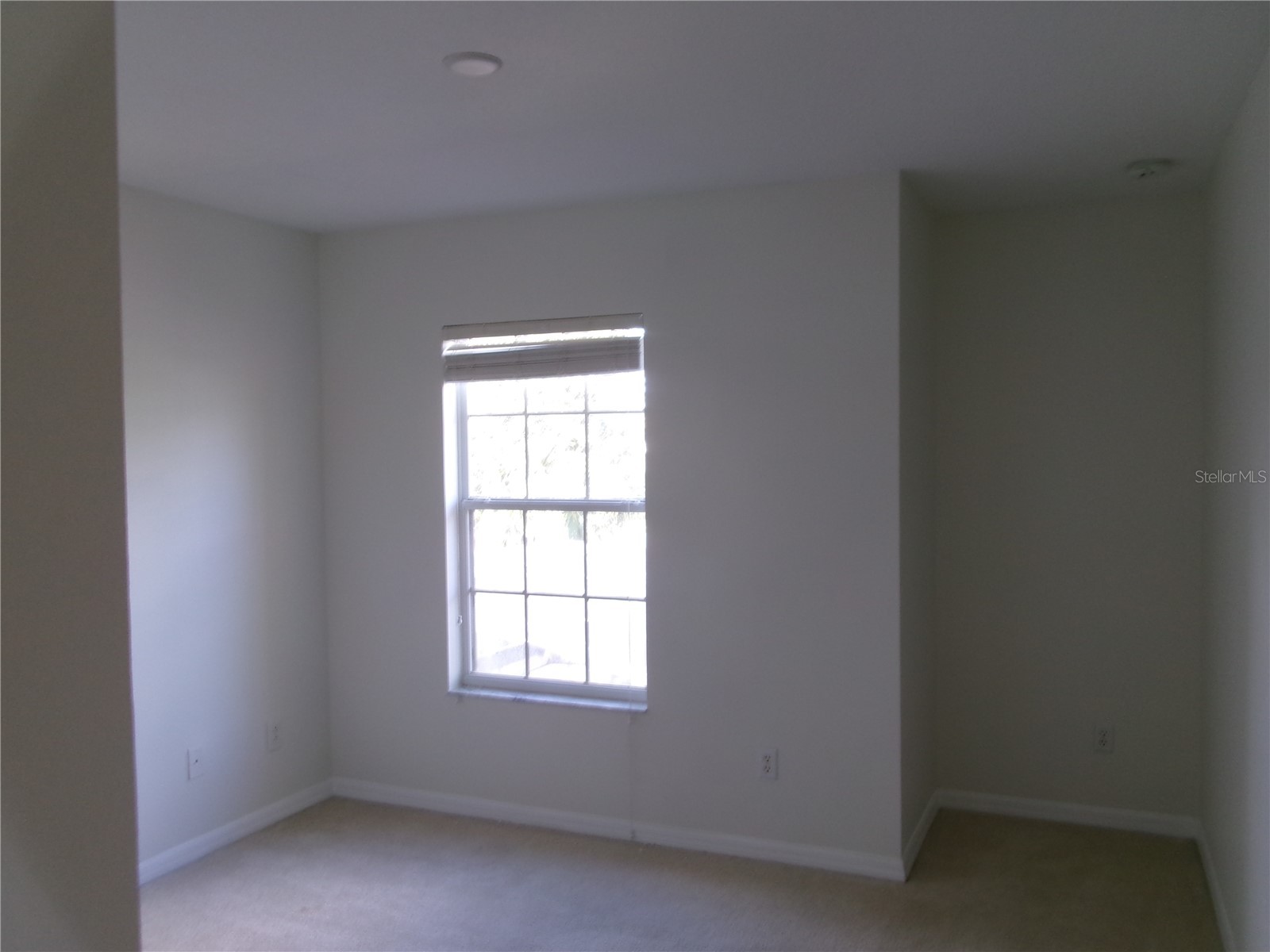 8969 Majesty Palm Road Kissimmee FL 34747 O6356562 image24