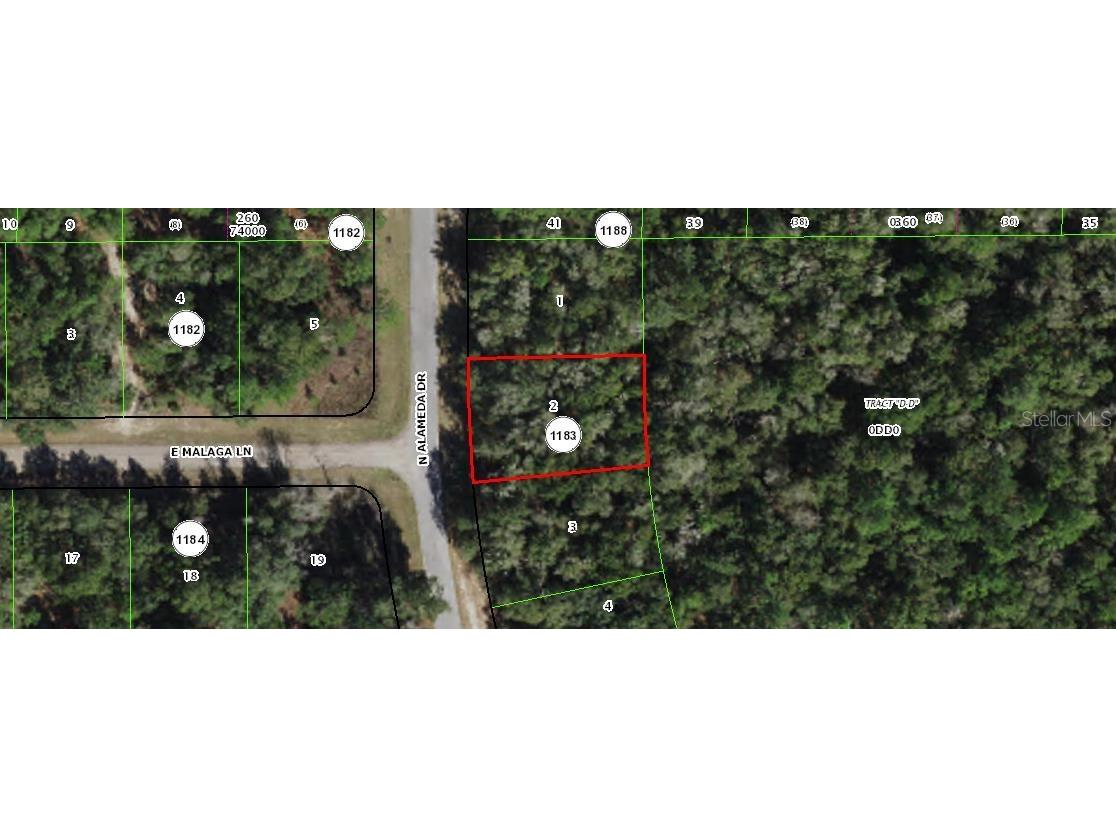 8969 N Alameda Drive Citrus Springs FL 34434 OM653504 image1