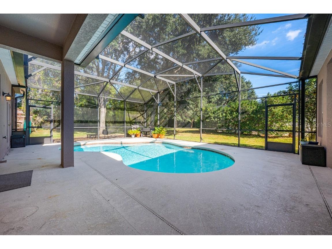 897 Gulf Land Drive Apopka FL 32712 O6364870 image28