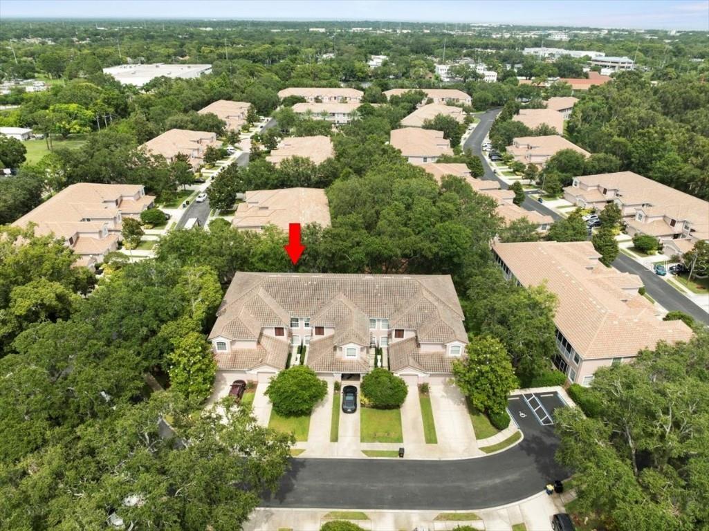 897 Lantern Way Clearwater FL 33765 TB8399310 image48