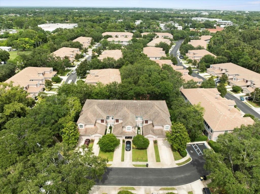 897 Lantern Way Clearwater FL 33765 TB8399310 image53