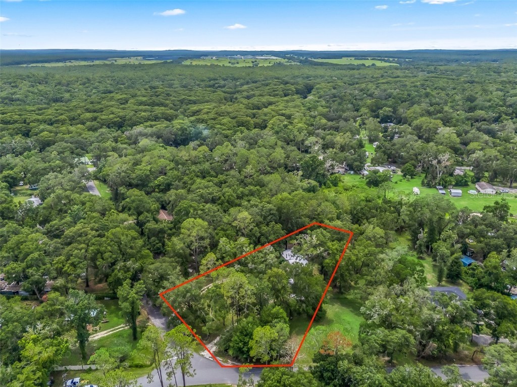 8970 Cr 646 Bushnell FL 33513 TB8404119 image35