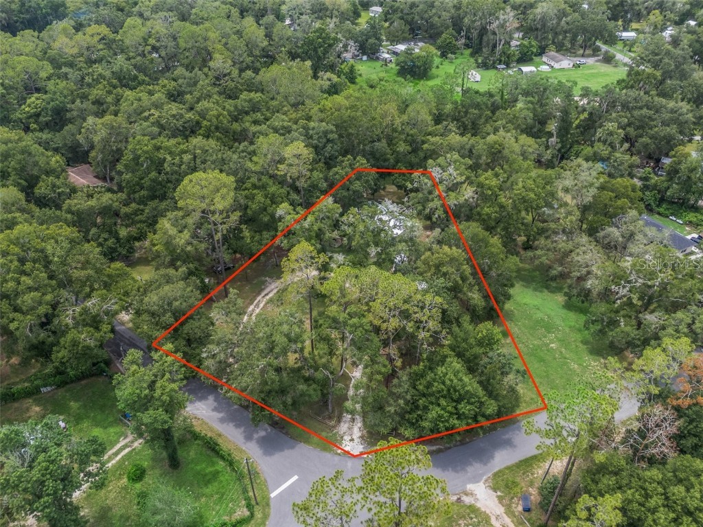 8970 Cr 646 Bushnell FL 33513 TB8404119 image5