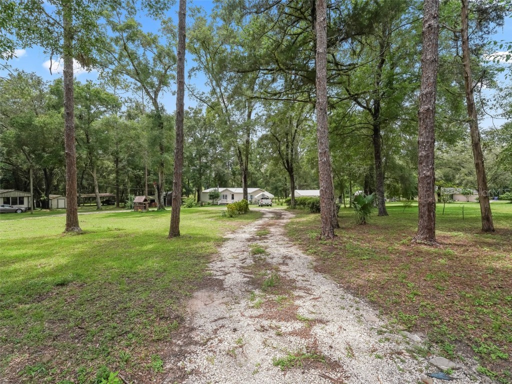 8970 Cr 646 Bushnell FL 33513 TB8404119 image7