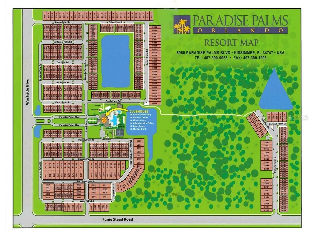 8971 Candy Palm Road Kissimmee FL 34747 S5124216 image44