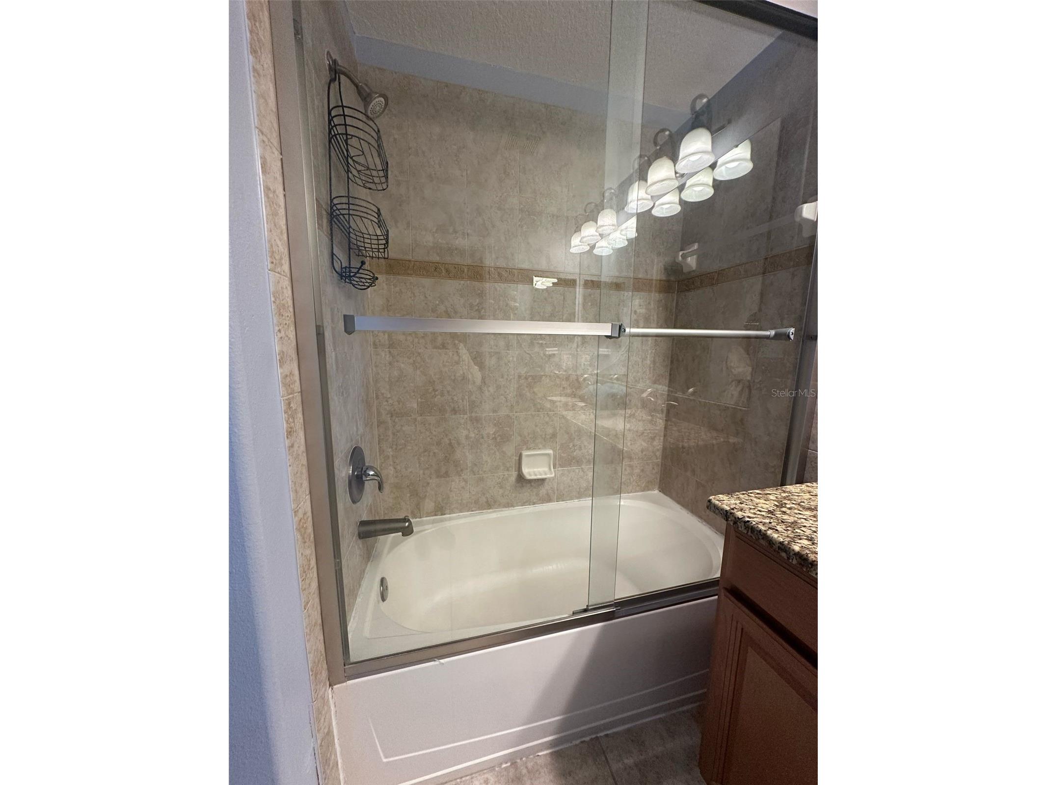 8973 Cat Palm Road Kissimmee FL 34747 G5106997 image15