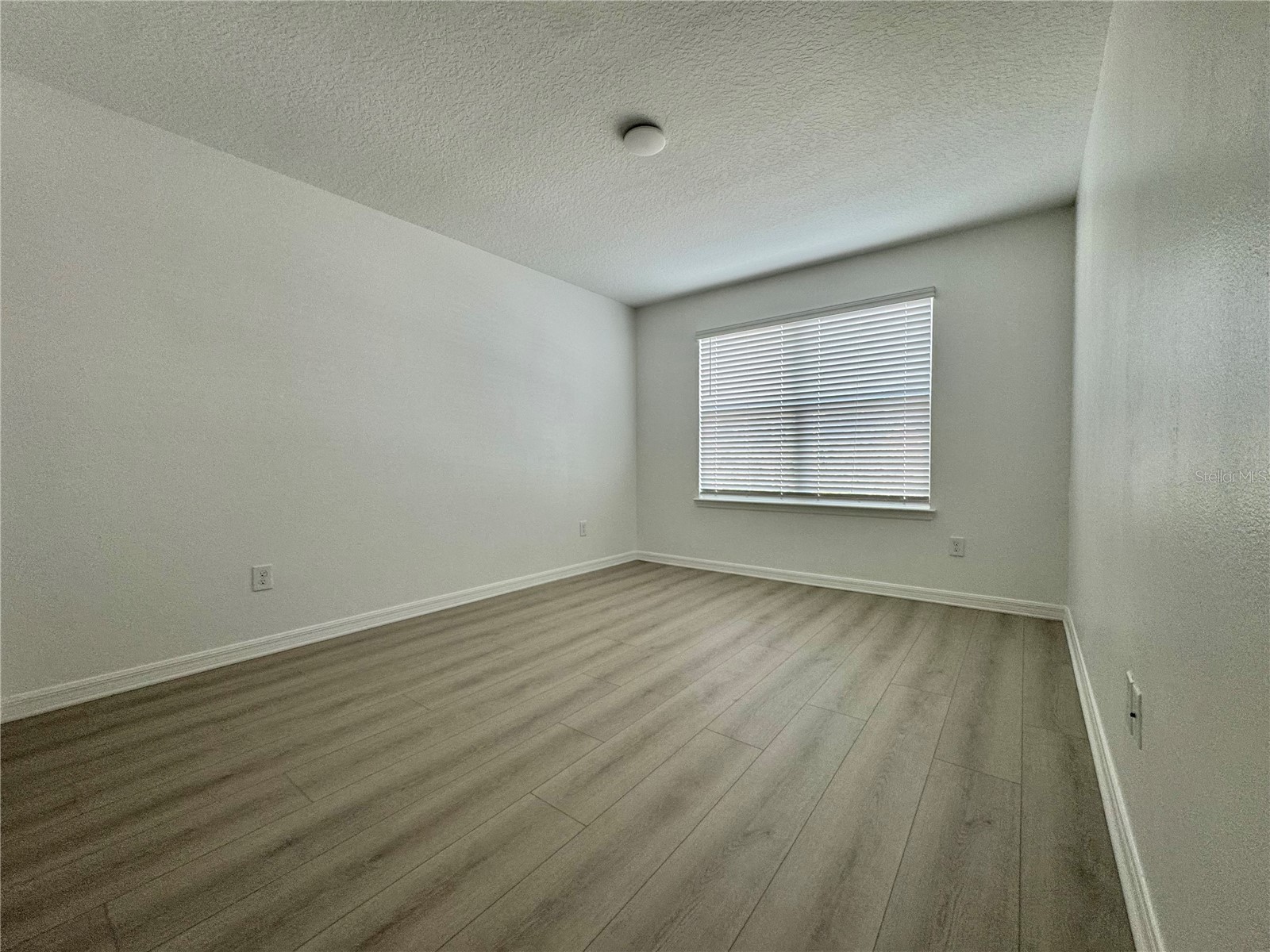 8973 Matriarca Alley Windermere FL 34786 O6387553 image11