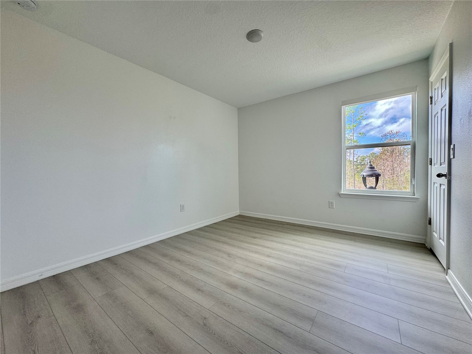 8973 Matriarca Alley Windermere FL 34786 O6387553 image13