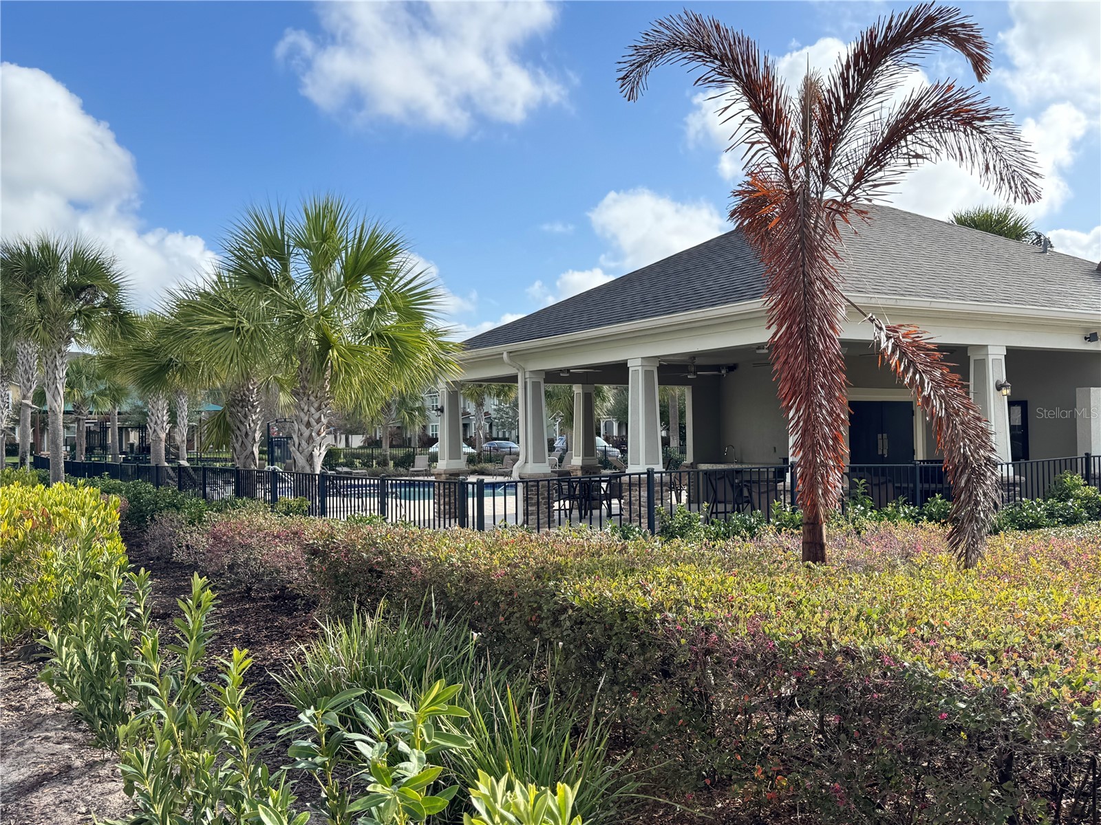 8973 Matriarca Alley Windermere FL 34786 O6387553 image28