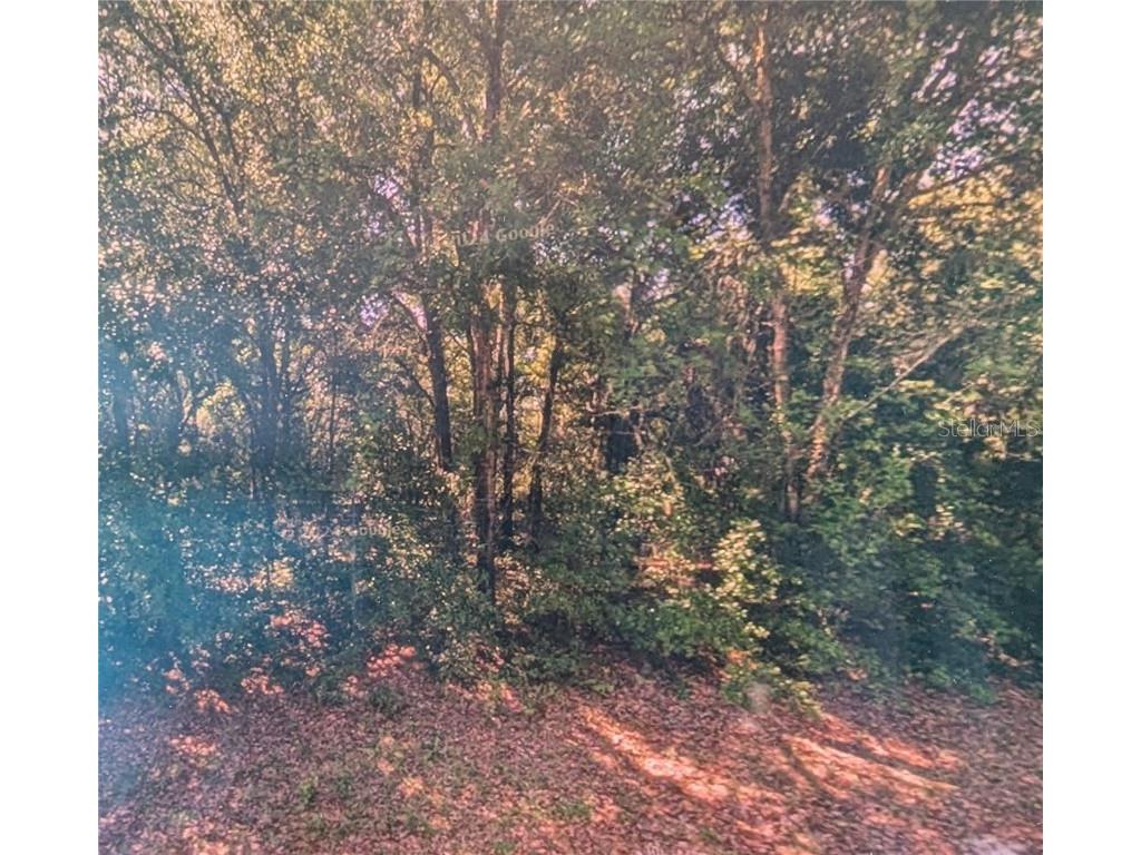 8973 N Bee Way Dunnellon FL 34434 O6371918 image1