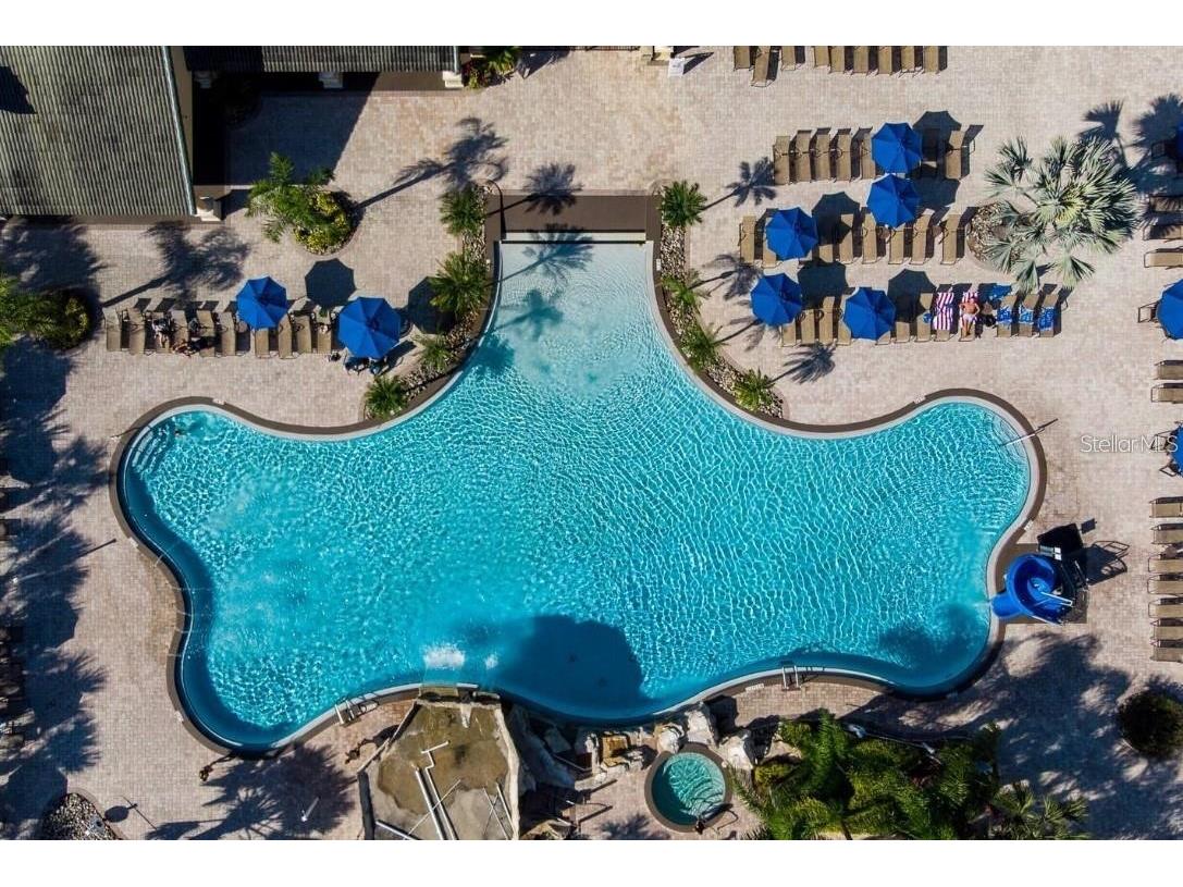 8974 California Palm Road Kissimmee FL 34747 S5121215 image57